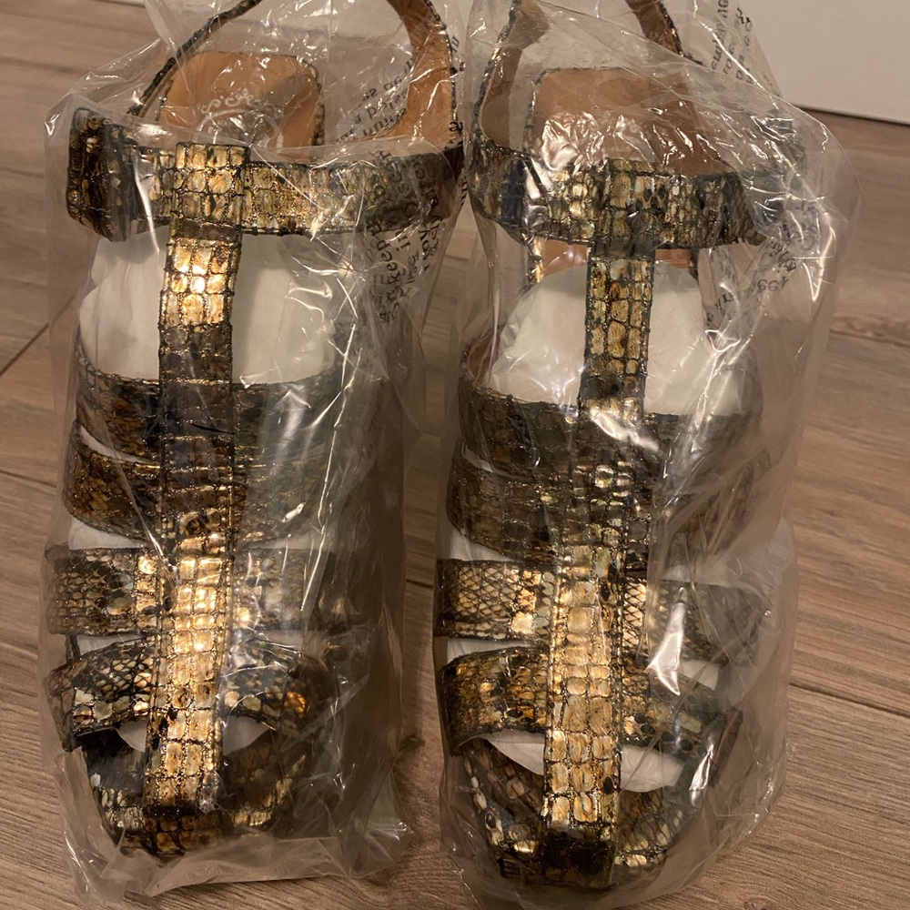 Jeffery Campbell platforms new